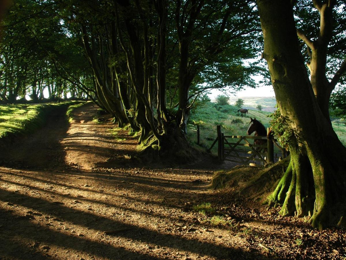 Отель The Hood Arms Kilve Экстерьер фото